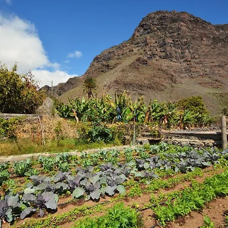 Casa Celia Valle Gran Rey